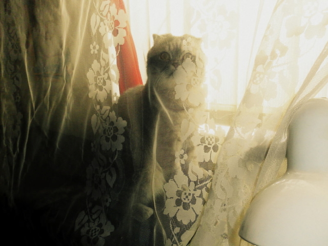 0_878ad_44ae603d_XL-1