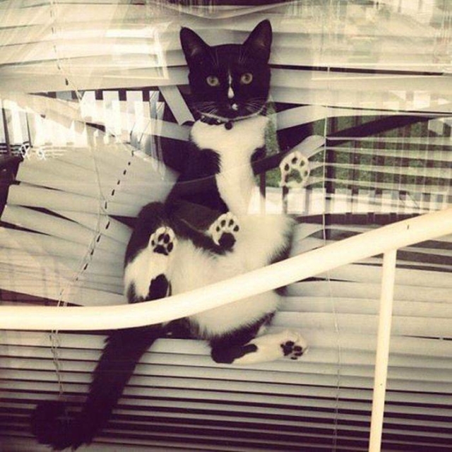 acid_picdump_05-1