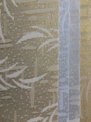 SALIX1