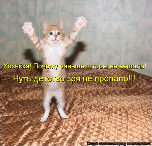 clip_image00142-1