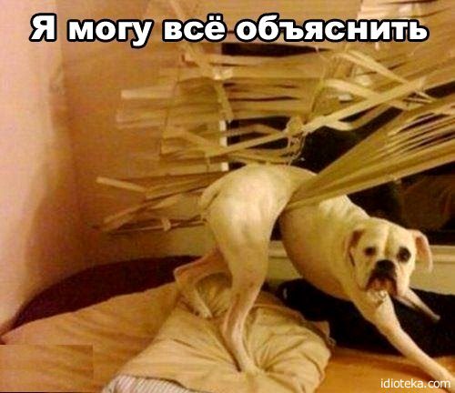 dda33a38310c2f1d7984b7f3d7b7a76bw-1