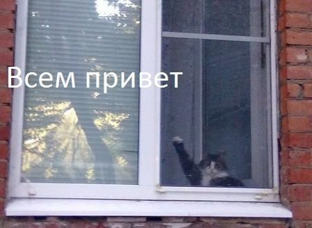 na-Главную-1